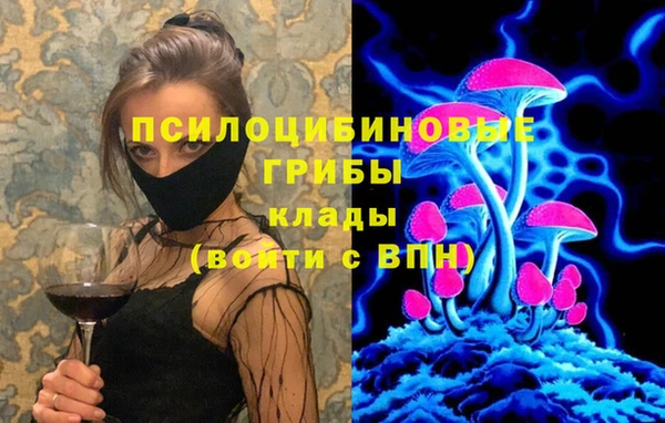 индика Пролетарск
