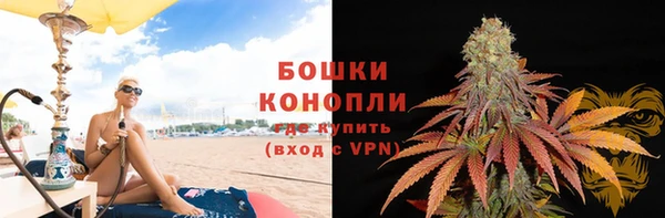 сатива Протвино