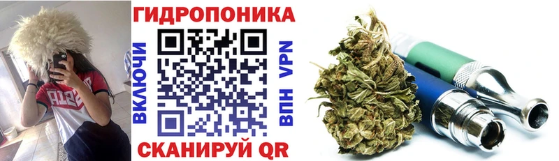 Бошки Шишки тримм  где продают   Ильский 